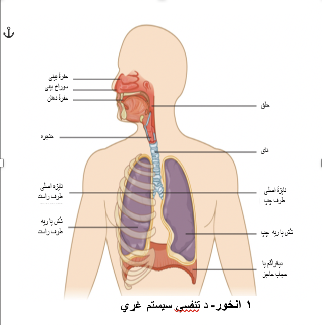 Resource Main Image